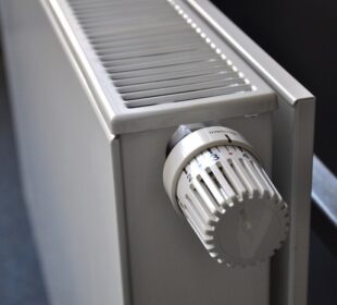 Preuzeto sa izvora: foto:pixabay/ri