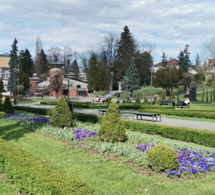 Preuzeto sa izvora: beta, foto:M.O.