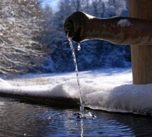 Preuzeto sa izvora: foto:pixabay/aranha