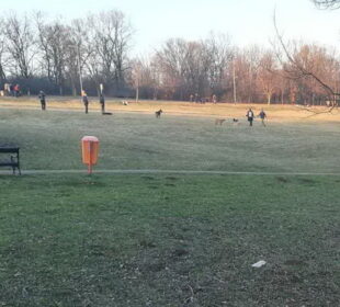 Preuzeto sa izvora: pressek, foto:M.Č.