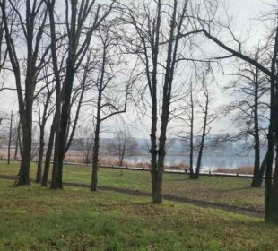 Preuzeto sa izvora: foto:M.O.