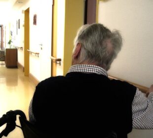 Preuzeto sa izvora: tanjug, foto:pixabay/geralt