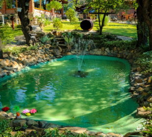 Izvor: Opština Kragujevac