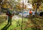 Foto: ikragujevac.com