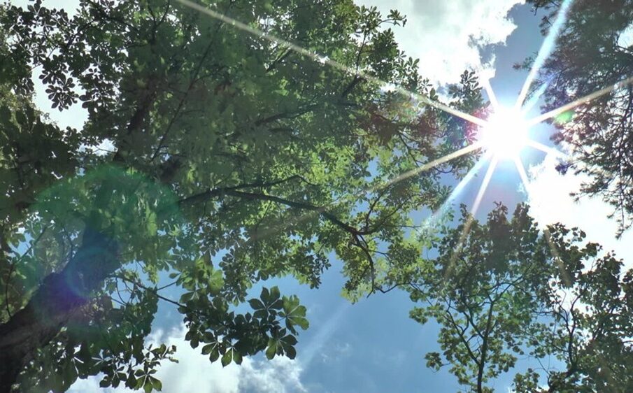 Foto: ikragujevac.com