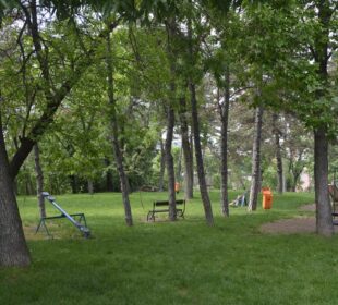 Foto: ikragujevac.com